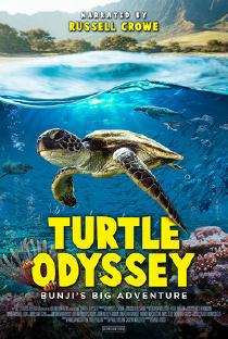 Poster "Turtle Odyssey"